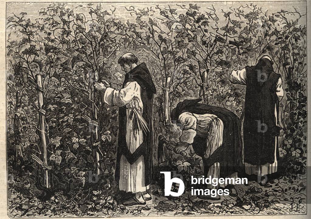 Burgundy monks growing the vine - by Louis Figuier - end of 19th century