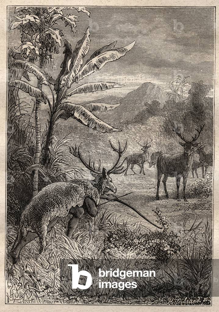 Expedition Around the World (1785-1788) by Jean Francois Galaup de La Perouse (1741-1788): hunting technique for the Indians of the Bay of Monterey (California) - illustration from “The Grands Mariners of the 18th century”, 1879 - 1 of the 3 volumes of the “Histoire generale des grands voyages et des grands voyageurs” by Jules Verne