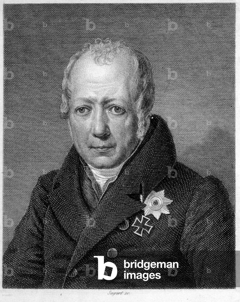 Portrait of Wilhelm von Humboldt (Guillaume de Humboldt, 1767-1835), German linguist, philosopher and diplomat. Engraving, 19th century