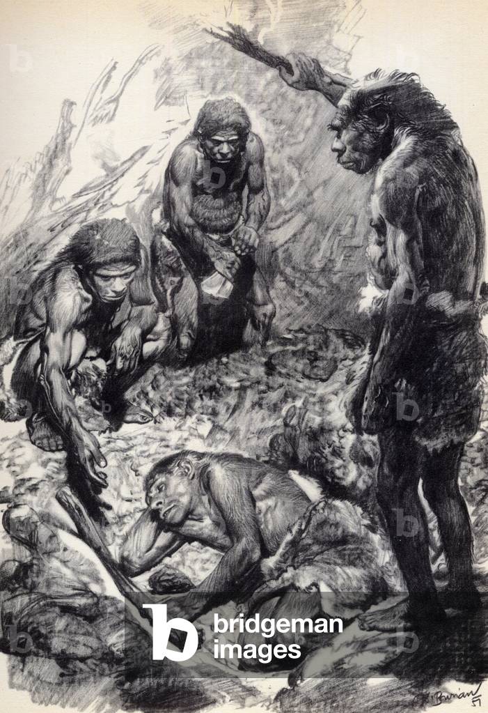 Image of Drawing depicting The Neanderthal or Neandertal - Man of Neandertal - Sepulture of Moustier - Neander