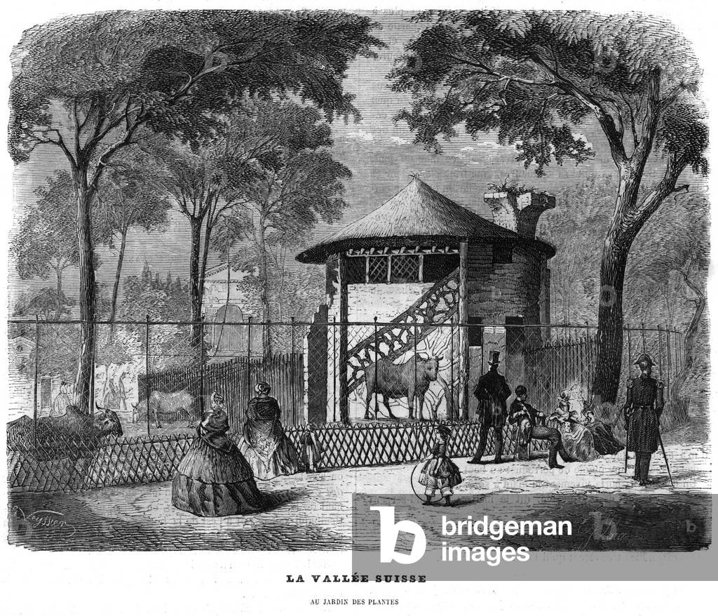 The Swiss valley in the garden of plants in Paris in 1858.