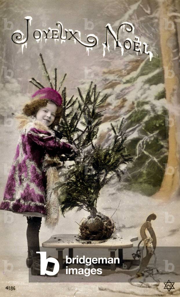 Merry Christmas: a girl carrying a tree (photo)