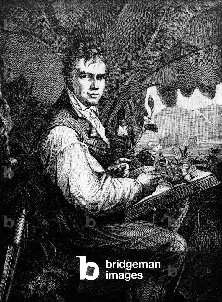 Alexander Von Humboldt , German naturalist, 19th century (engraving)