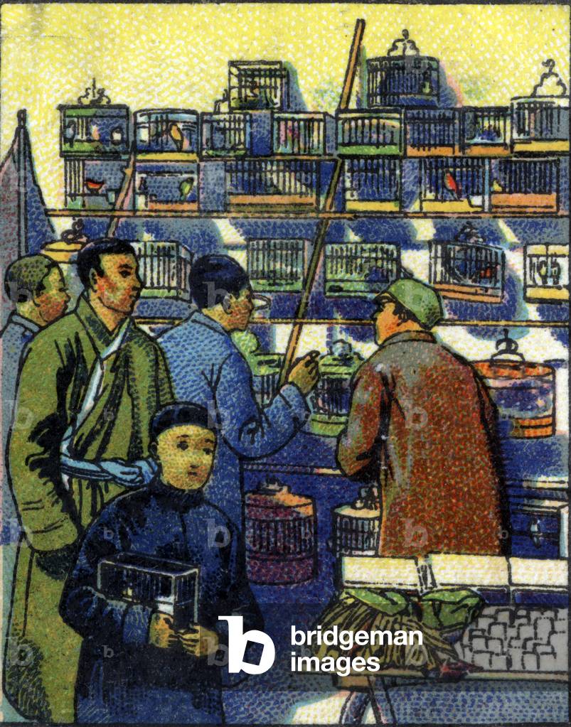 Bird dealer in China. 1936 (chromo)
