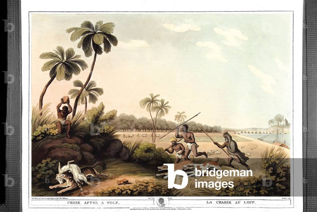 Image de Estampe représentant La chasse au loup. Gravure de Samuel Howett (1756-1822) in ""Oriental field spor