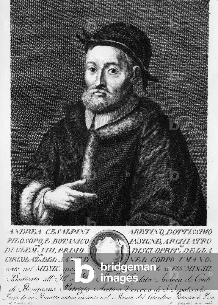 Portrait of Andrea CESALPINO (Cesalpini) (1519-1603) (Andre Cesalpin) Italian medicine and naturalist