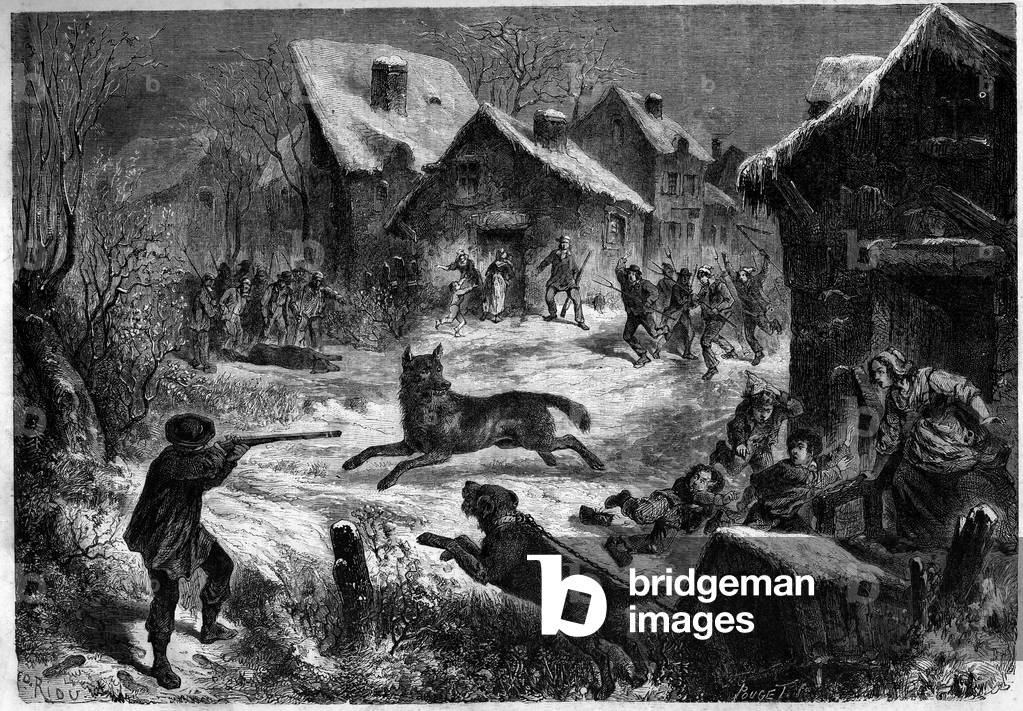 Wolf hunting in the village of Saliers, Bouches du Rhone (13), 31 December 1860. Engraving in “” Le Monde Illustré”” n¡196 of 12 January 1861.