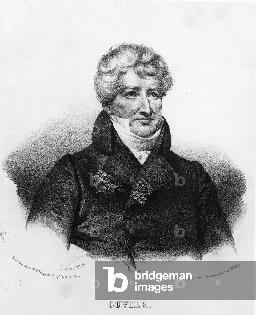 Portrait of Georges Cuvier