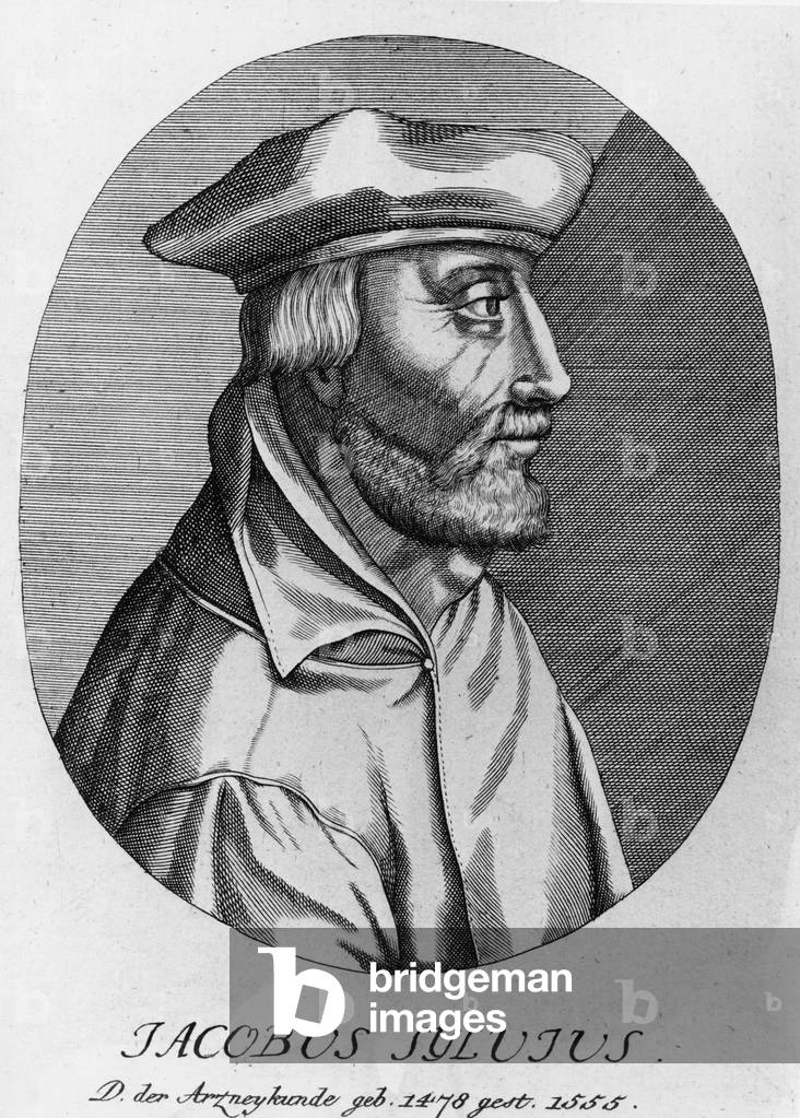 Portrait of Jacobus Sylvius (Dubois, Jacques, d'Amiens), doctor and grammar (1489 -1555)