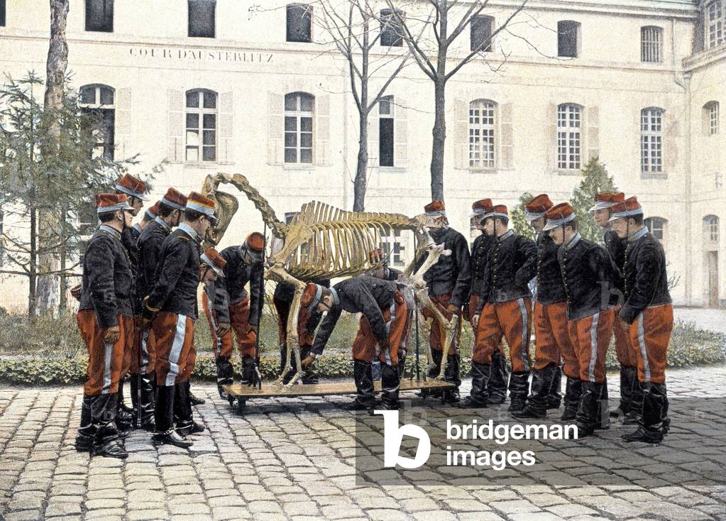 SPECIAL MILITARY SCHOOL OF SAINT-CYR