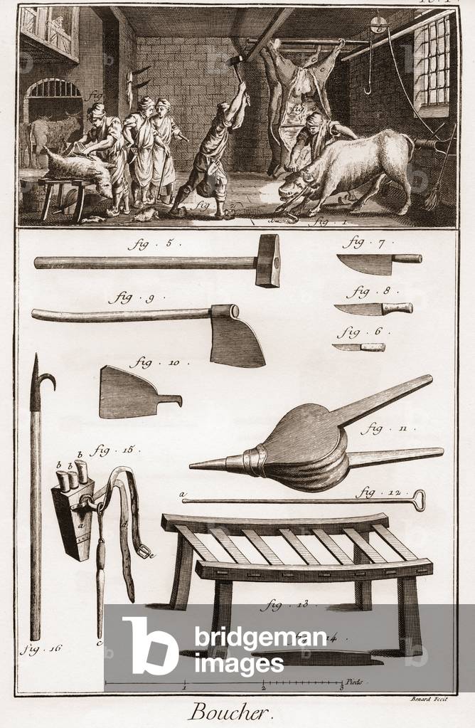 Boucher - Butchery - Butchery - “” The Great Encyclopedie, ou Dictionnaire Raisonne des Sciences, des Arts et des Metiers” (Encyclopedia or Dictionary of the Sciences, Arts and Professions) by Denis Diderot (1713-1784) and Jean d'Alembert (1717-1783)