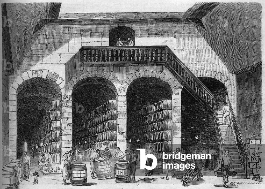 Viticulture: internal view of the chaix and cellars of M. Cruse et fils freres, Bordeaux, Gironde (33), 1864. Engraving in “” Le Monde Illustré”” n°393 of October 22, 1864.