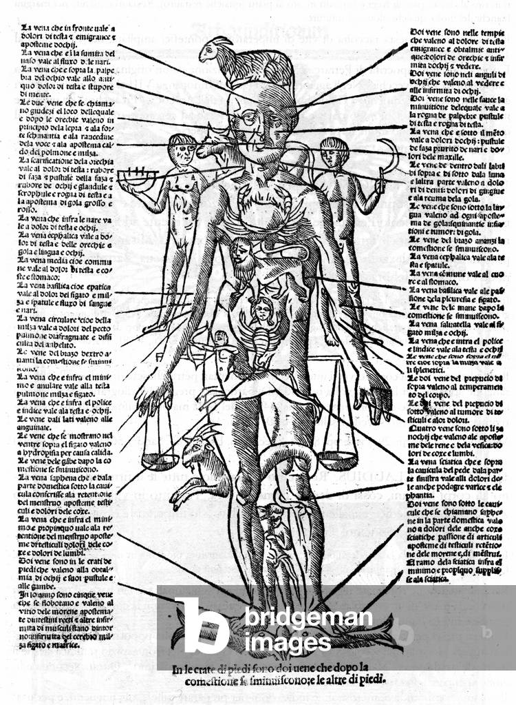 Plate representing a human body with the position of all organs and the zodiacal signs corresponding to them by their astrological influences, 1587 (engraving)