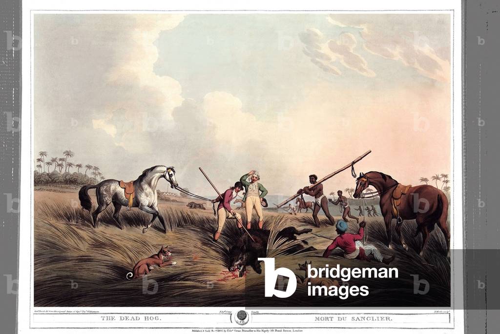 Tod des Wildschweines. Kupferstich von Samuel Howett (1756-1822) in „Oriental Field Sports““ von Thomas Willia