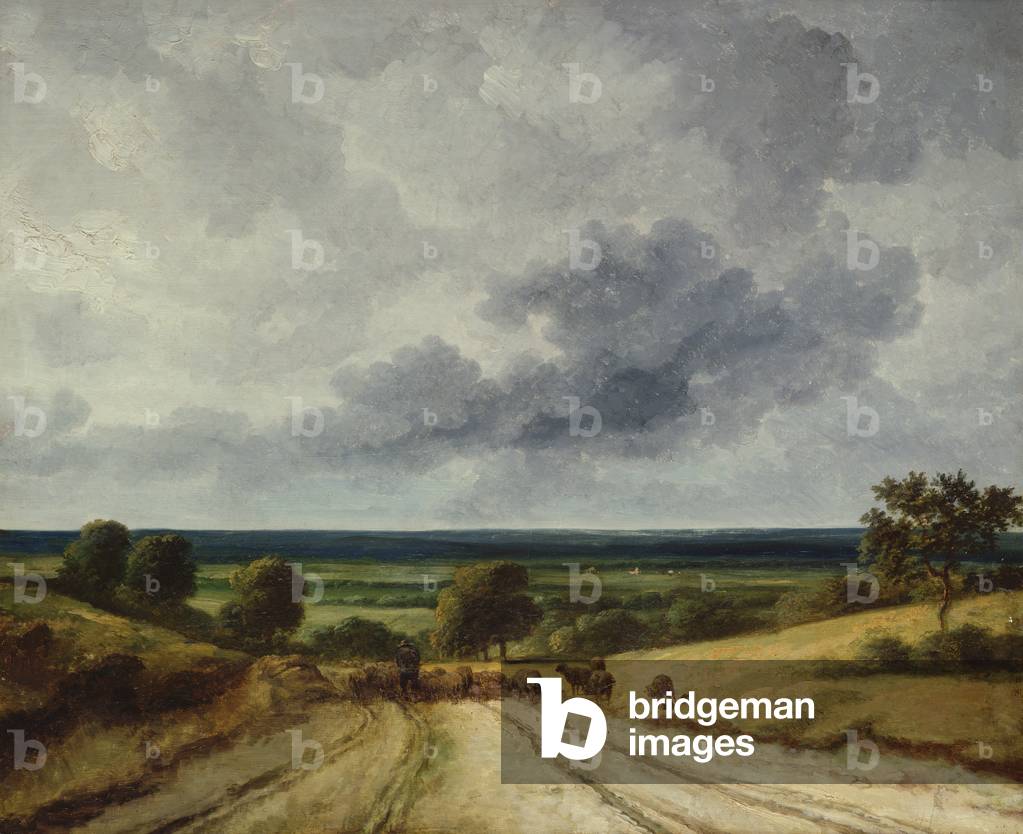 Route dans le pays (huile sur toile)