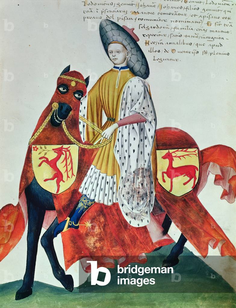 Illustration from the 'Codex Capodilista' (vellum)