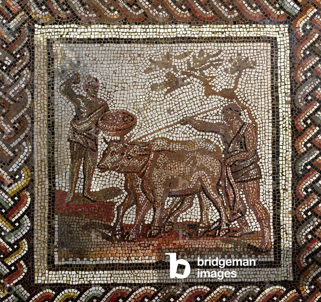 Ploughing, from Saint-Romain-en-Gal, Rhone-Alpes, France, 3rd century AD (mosaic)