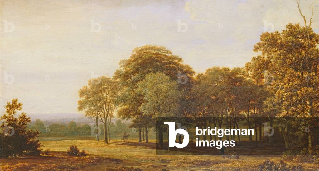 Road in the Woods (oil on canvas)