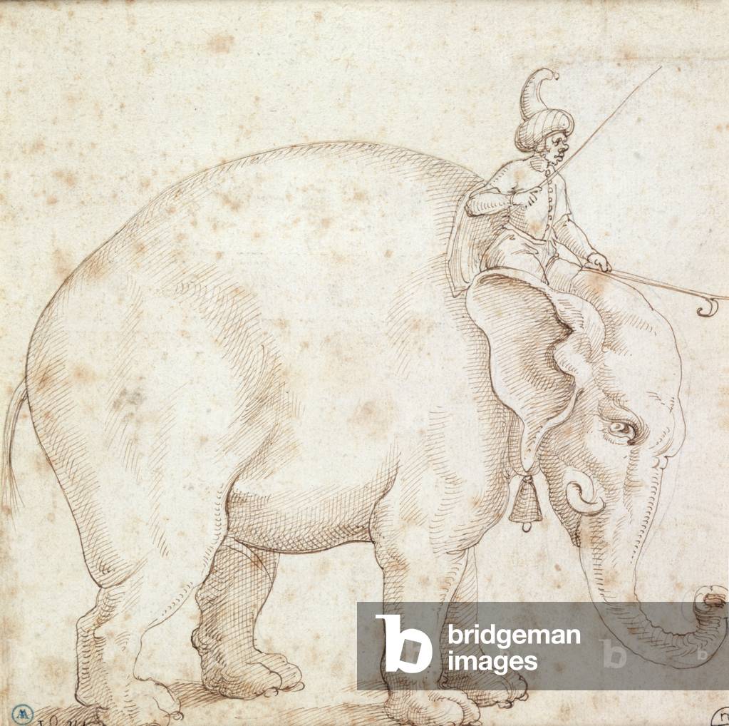 Elephant Hanno and his Mahout (pen & ink on paper)