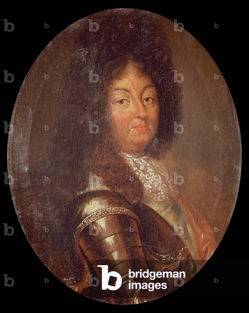 Portrait of Louis XIV (1638-1715) (oil on canvas)