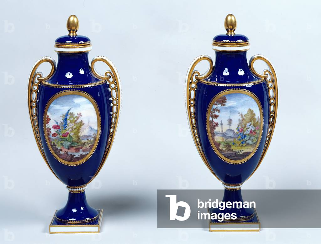A Pair of Sèvres Vases with decorative floral medallions (porcelain)