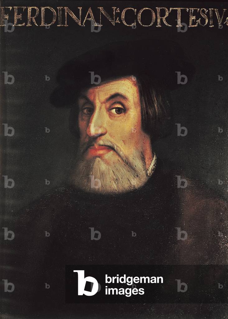 Portrait of Hernando Cortes (1485-1547) (oil on canvas)