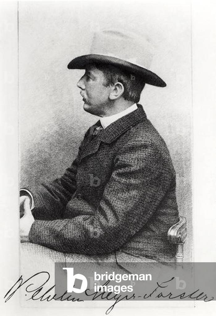 Immagine di Fotografia "Wilhelm Meyer-Forster (1862-1934) (b/w photo)", 19th Secolo di German Photographer, b/