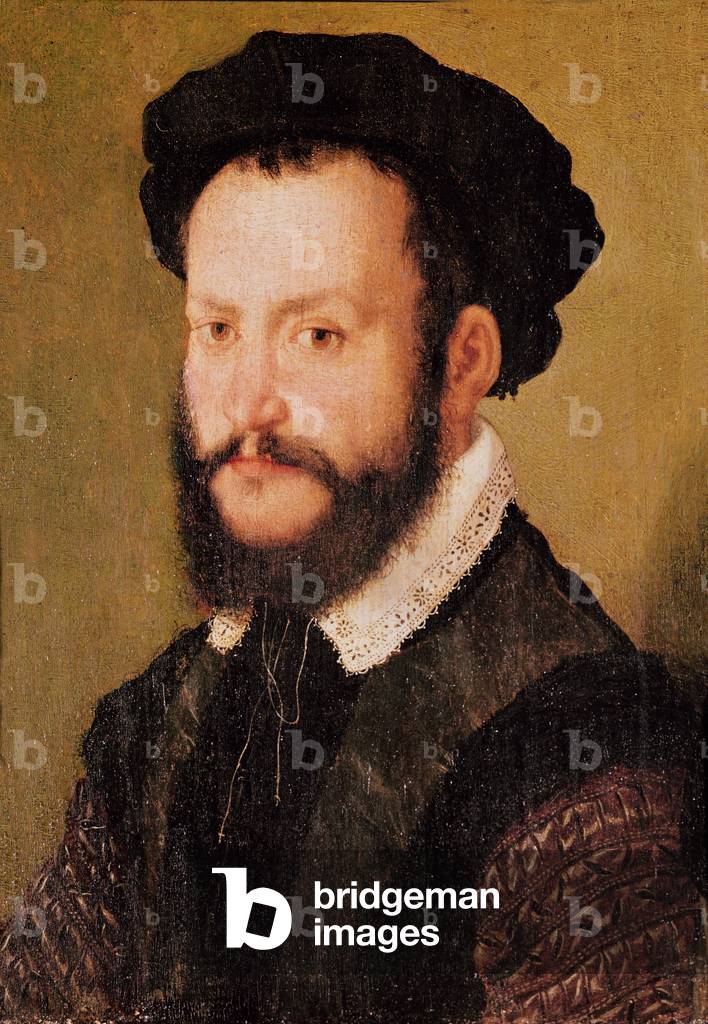 Portrait of a Man with Brown Hair, c.1560 (oil on panel)