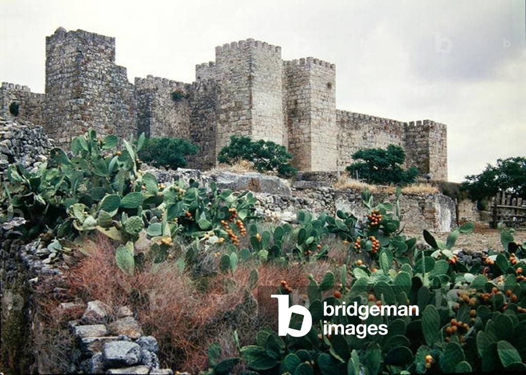 View of the castle (photo)
