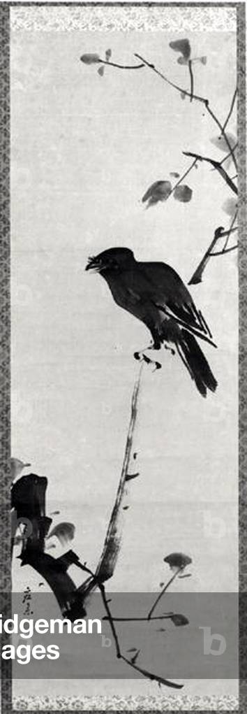 Crow on a Branch (pen & ink on paper) (b/w photo)