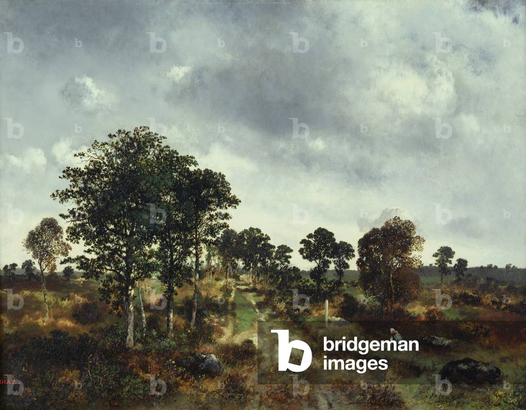 Landscape (oil on canvas)