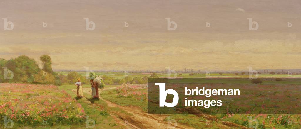 Landscape (oil on canvas)