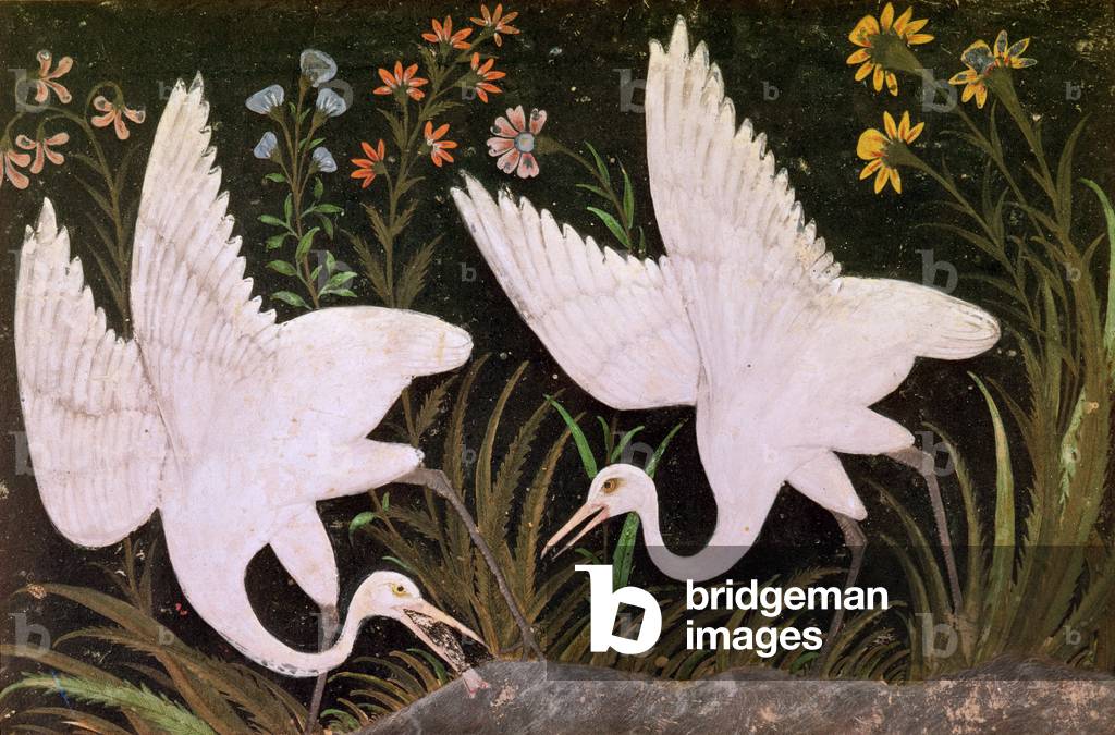 Two Cranes on the Edge of a Pond (w/c on paper)