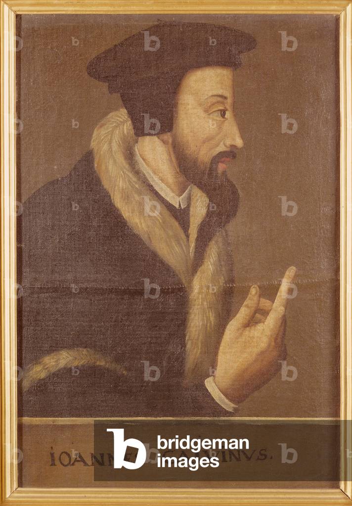 Portrait of John Calvin (1509-64) French theologian and reformer (oil on canvas)