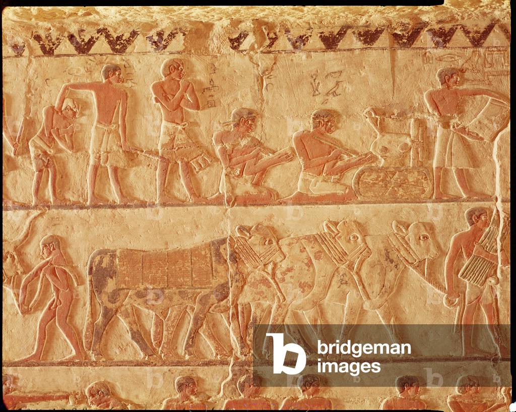 Immagine di Affresco "Dipinto rilievo raffigurante il distacco di tasse e un gruppo di bovini" di Egyptian 5th