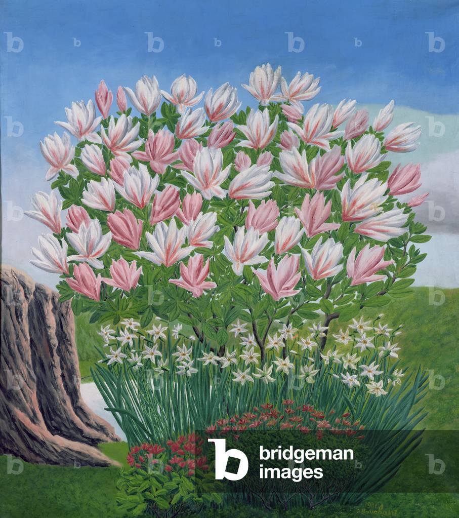 Magnolias and Narcissi, 1931 (oil on canvas)