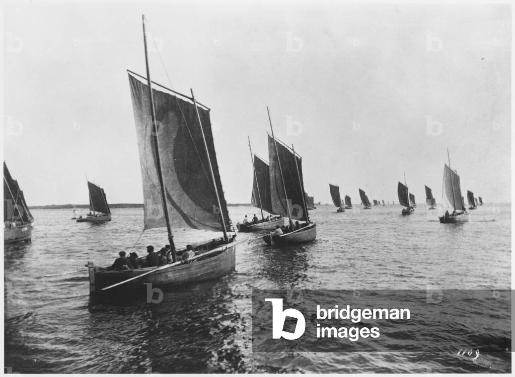 Sardine boats of Concarneau (photo)
