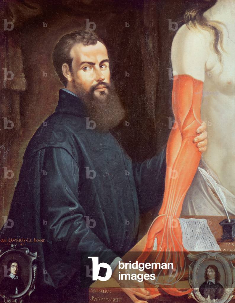 Andreas Vesalius (1514-64) (oil on canvas)