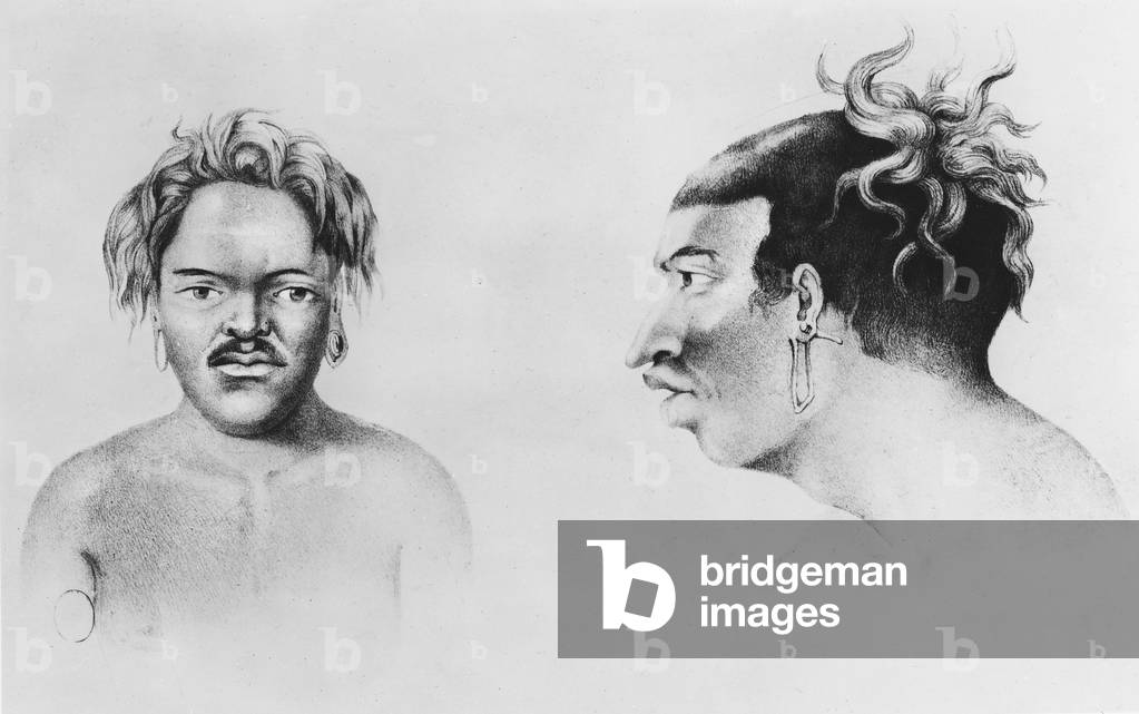 Types of Islanders, illustration from 'Voyage au Pole Sud et dans l'Oceanie' (litho)