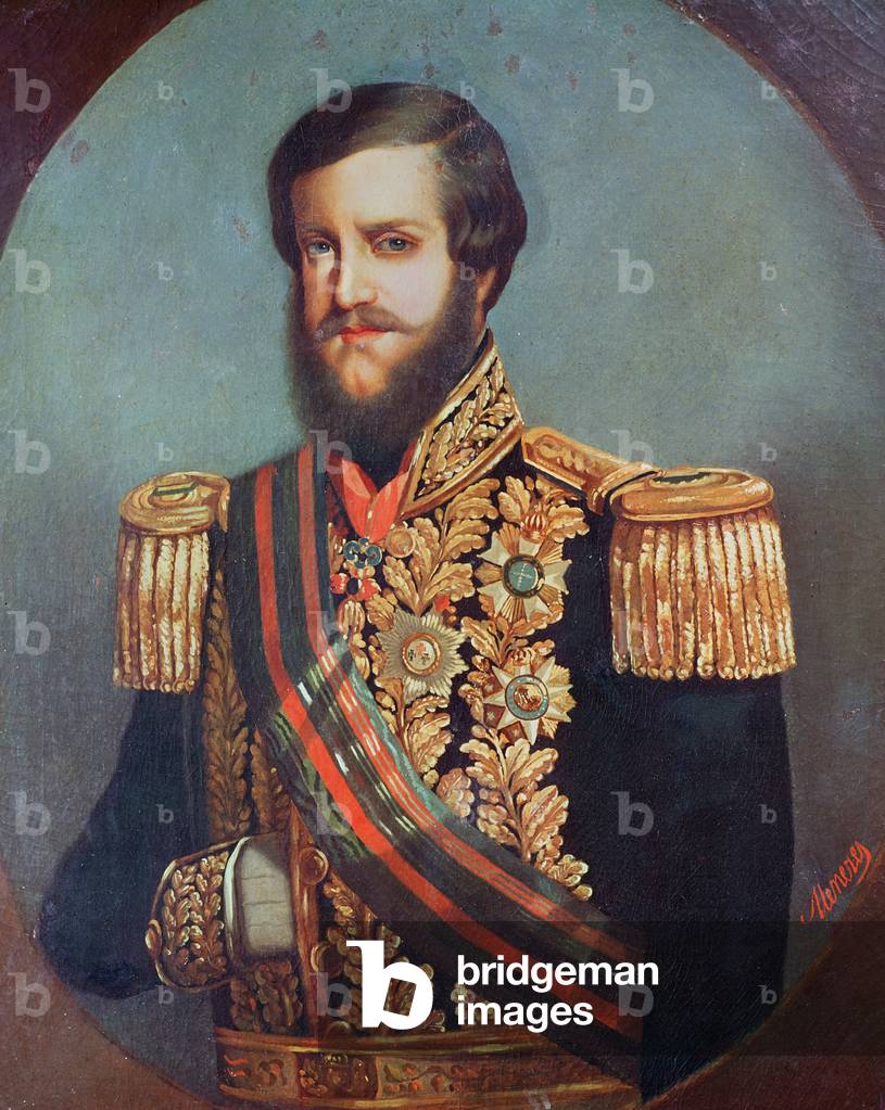 Pedro II (1825-91) Emperor of Brazil (oil on canvas)