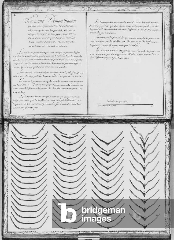Construction of a galley, pieces of wood, third demonstration, plate 3, illustration from 'Demonstrations de toutes les pieces de bois, cloux et ferremens qui entrent dans la construction d'une galere...' (pencil & watercolour on paper)