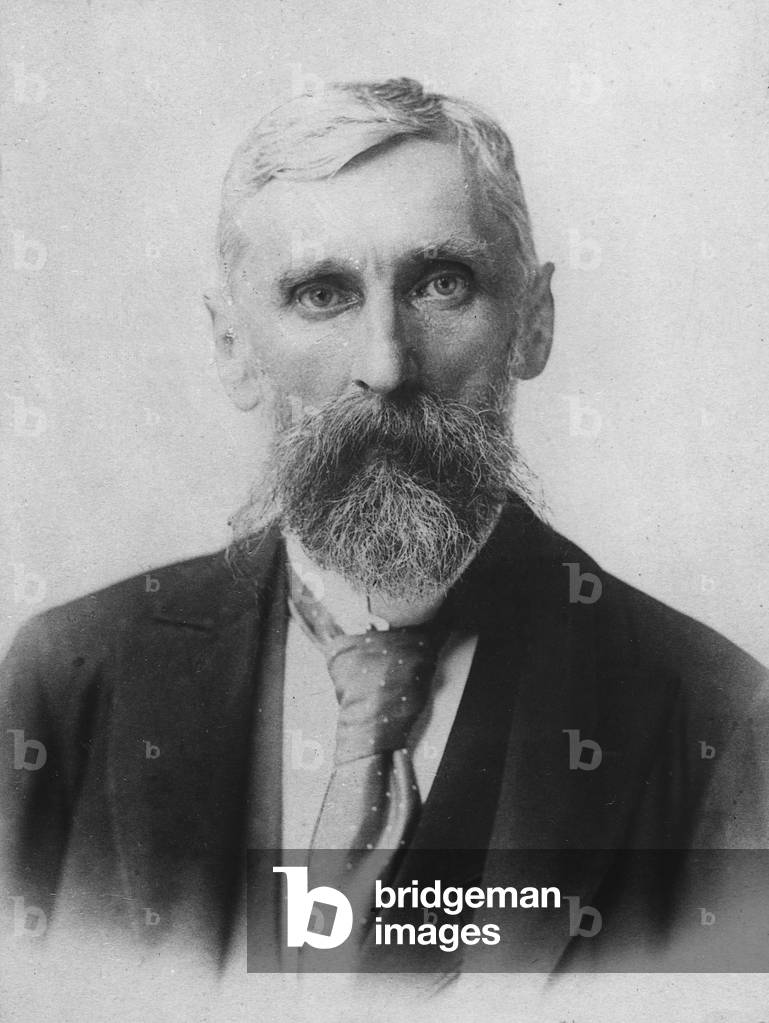 Portrait of Adam Asnyk, 19th century (photo)