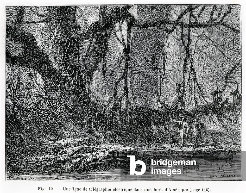 An electric telegraph line in an American forest, c.1870 (engraving)