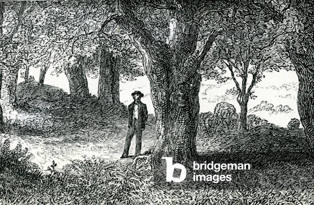 Illustraion from 'Lady Geraldine’s Courtship' (engraving)
