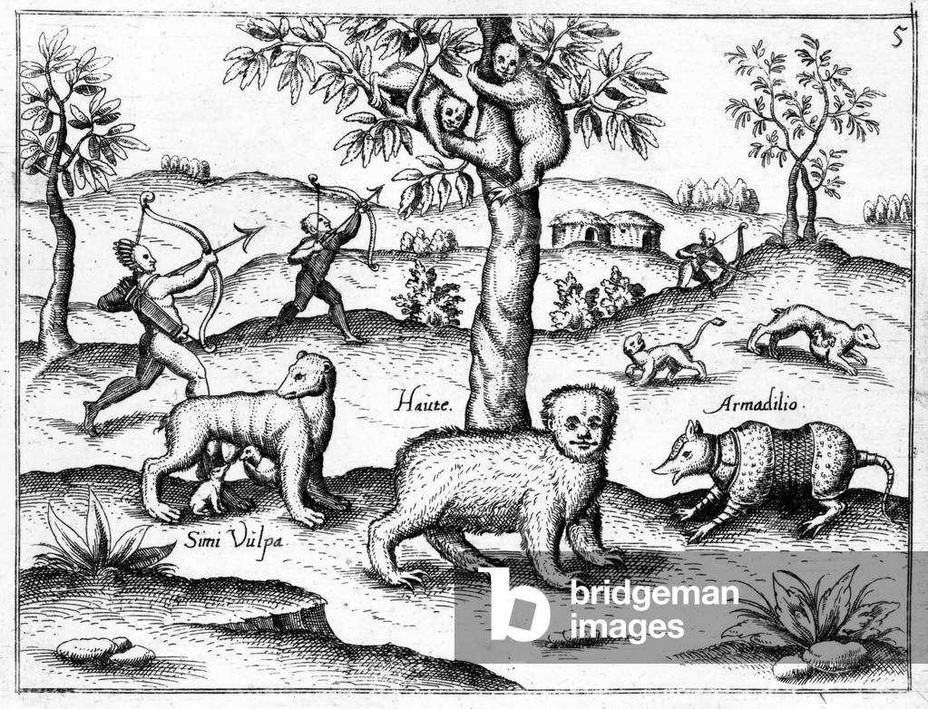 Simi Vulpa, Haute and Armadilio, illustration from 'The Discovery of Guiana' by Sir Walter Raleigh, published c.1599 (engraving)