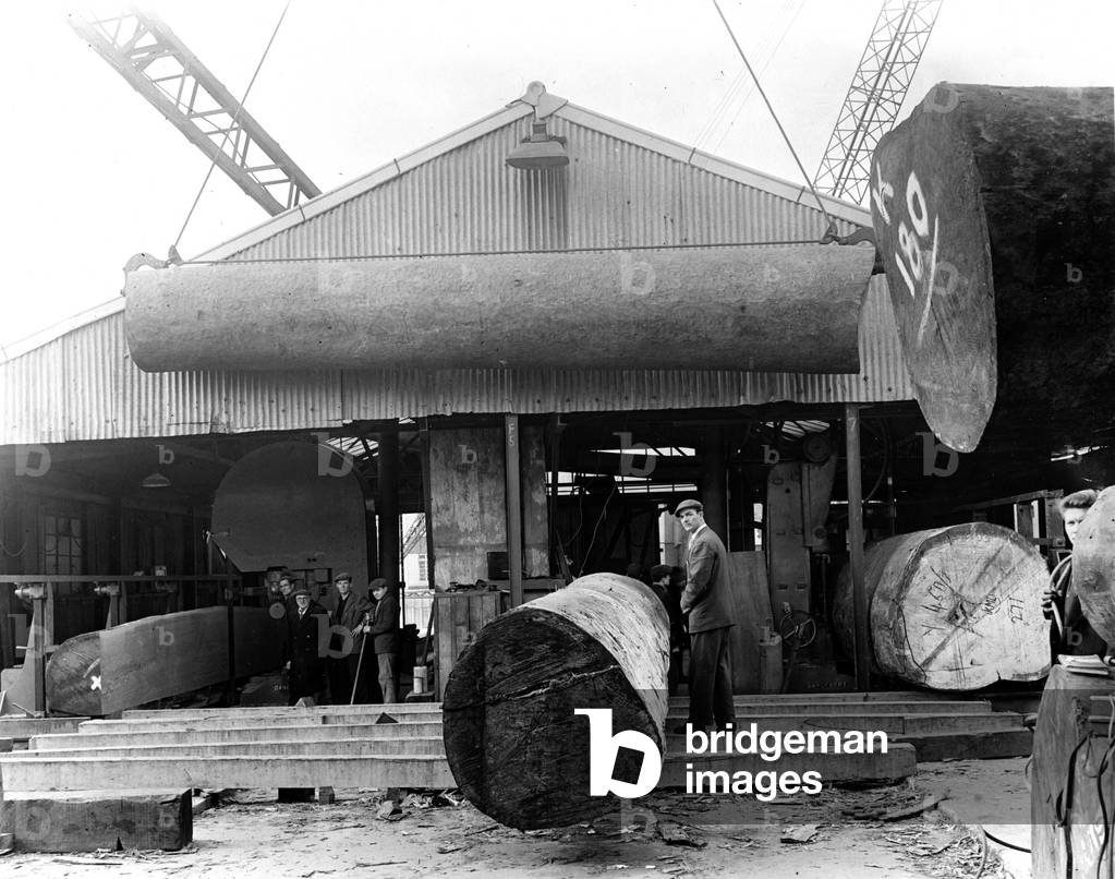 Timber yard at Silvertown, c.1960 (b/w photo)