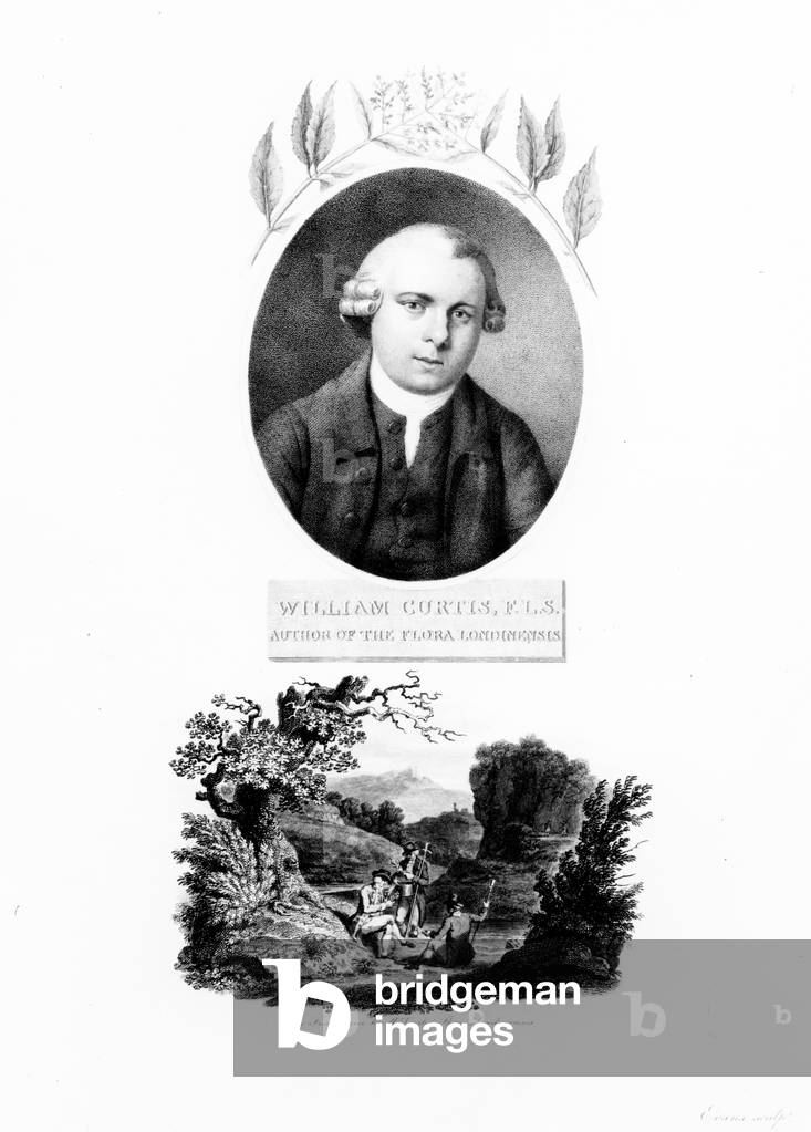 Frontispiece of 'Flora Londinensis', with a portrait of the author William Curtis, edition published in 1802 (engraving)