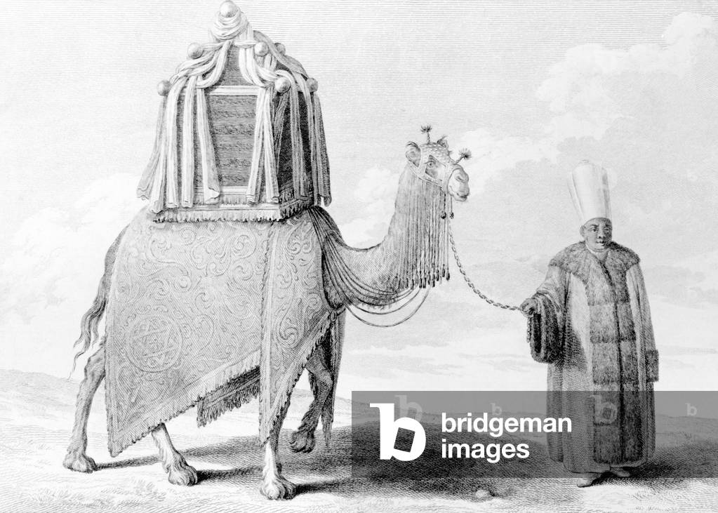 The Sacred Camel (engraving)