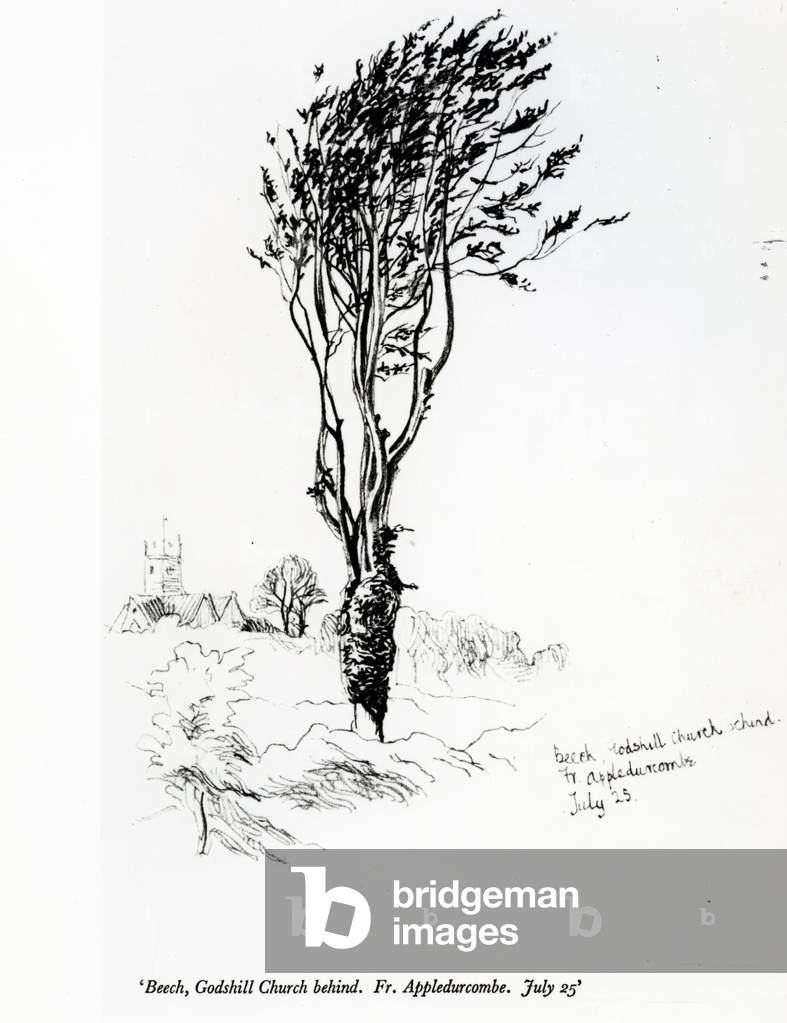 Beech, Godshill Church behind. Fr. Appledurcombe. July 25, c.1860's (pencil on paper)