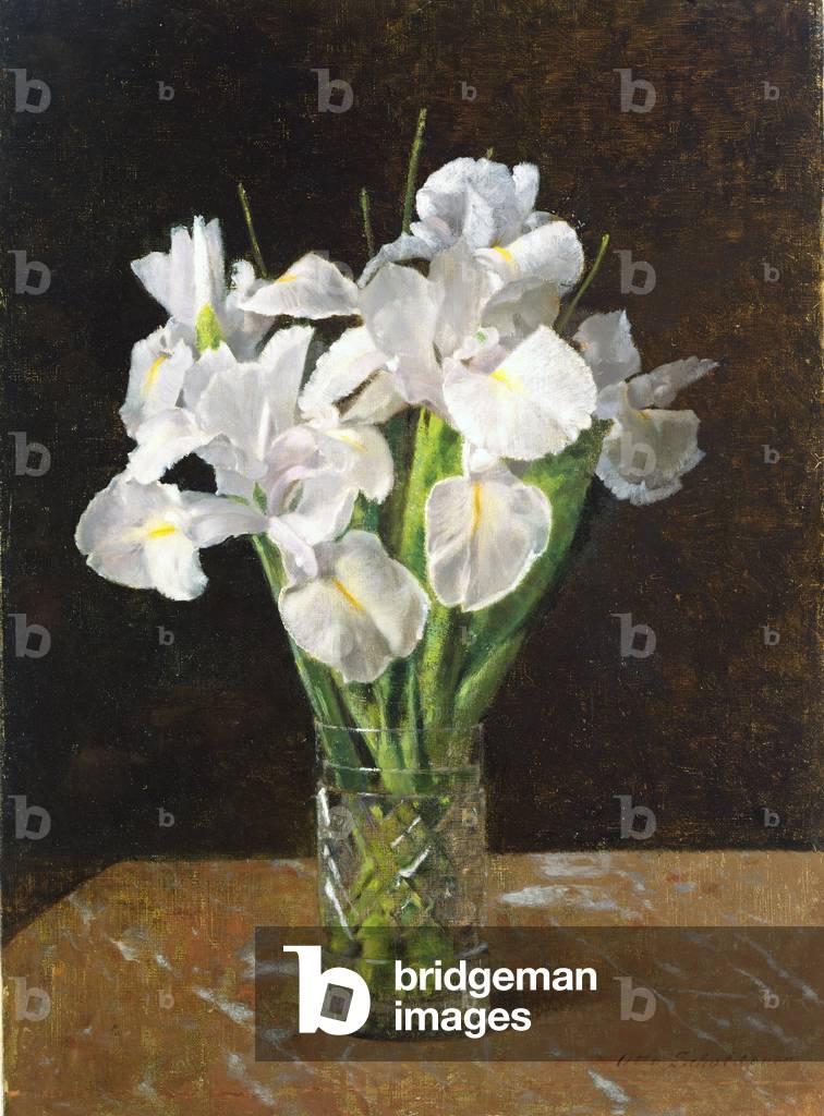 Iris, 1894 (Öl auf Leinwand)
